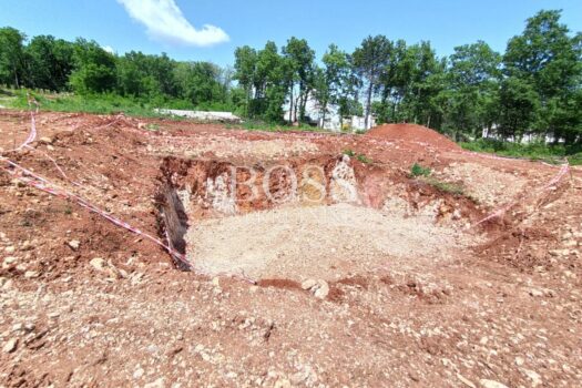 1770197055 ffd5a68f 6f28 4aeb 803b 980d0aa634cb