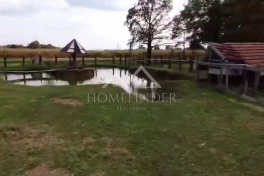 1770217343 593416195 4374329339456327 9168768392178318165 n