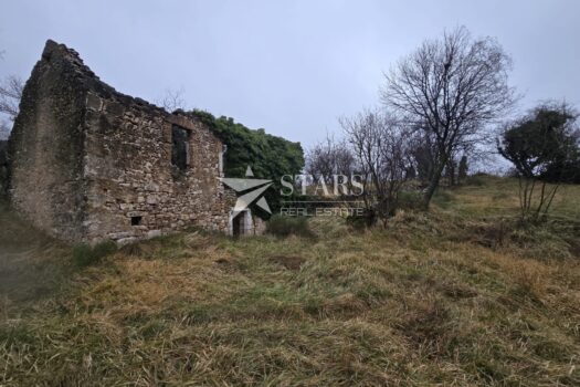 1770302593 whatsapp image 2026 02 05 at 14 1