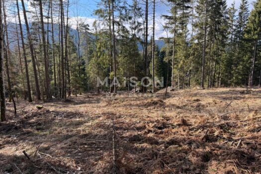 1770377068 whatsapp image 2026 01 31 at 11