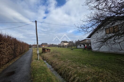 1770386038 20260206 130829