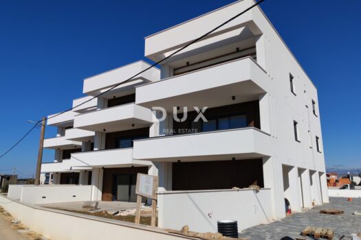 1770630521 img 20260202 114929