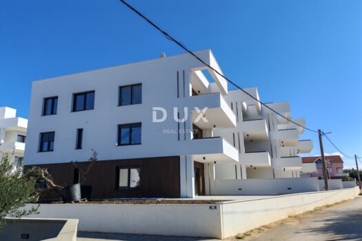 1770631467 img 20260202 115018