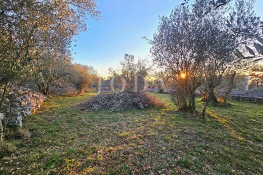 1770975310 939846573 649566 0