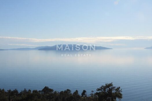 1771070001 whatsapp image 2026 02 14 at 12