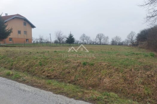 1771078914 whatsapp image 2026 02 11 at 13