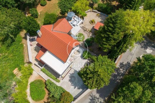 1771082577 344485342 1600x1200