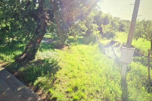 1771326399 thumbnail 8