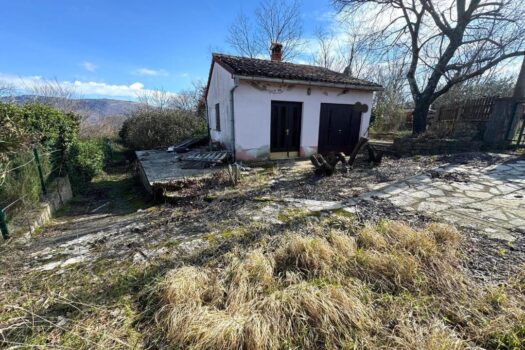 1771417972 thumbnail 7