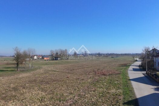 1771486868 dji fly 20260218 115844 0120 1771413179472 photo