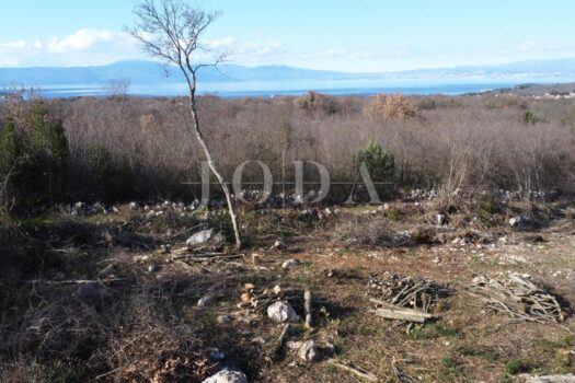 1771676764 810847502 418025 0