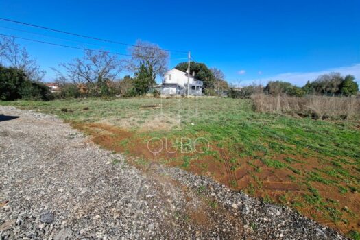 1771840904 whatsapp image 2026 02 23 at 10