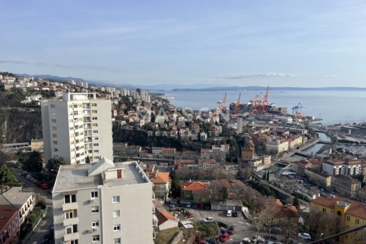 1771864184 image00032