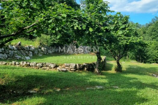 1771938839 20210610 175029