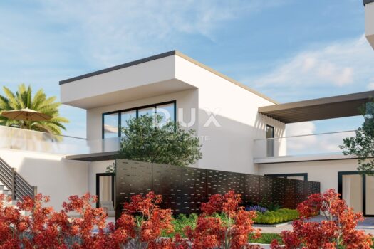 1772099904 photo 2026 02 23 13 18 16 1