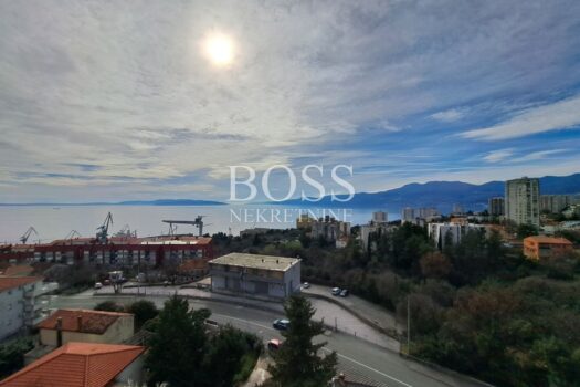 1772181957 img 55ad11eb24cc4150e5cea07353e69d3e v