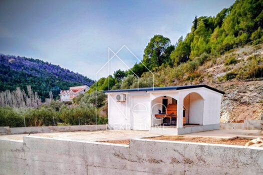 1772182954 e41eb5d2 e78a 4cd4 bf07 93262758eaed 1