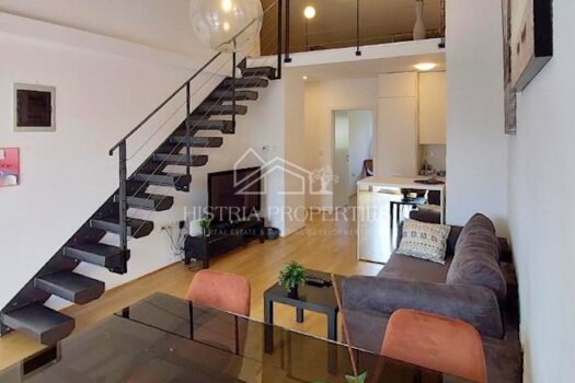 1772203810 496276553