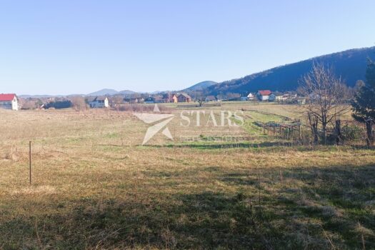 1772226584 img 20260225 154115