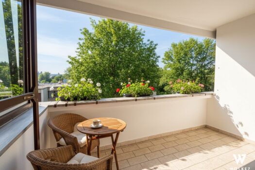 19OpX37xn8FGFcTRspB7Zx