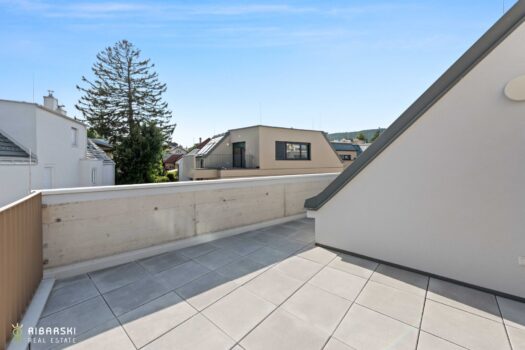 1GrFuXdtypCym11yqVlZEN