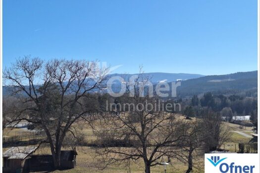 1HyRY0q3oQW0NZxKW80fps