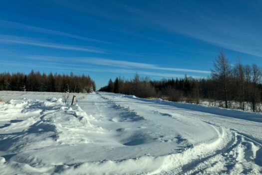 1SIM91uGDtaByqpp7ataYr