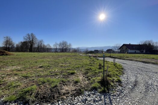 1V56nXPt1blimUWlKRm4Gj