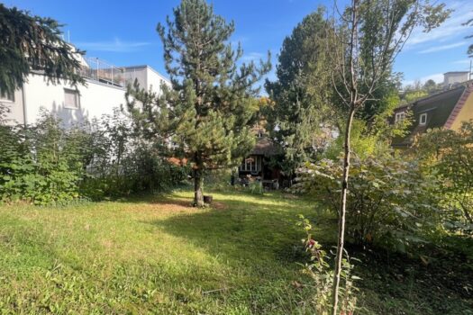 1XmLSVnqgX8oAbtjj1gLE0