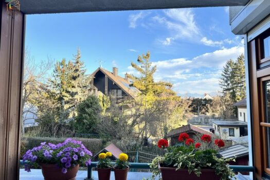 1uw1OT03oGkVWqxyd4vihD