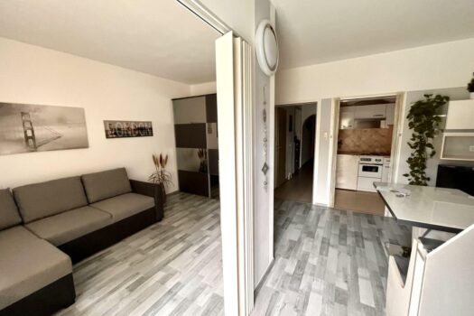 ab 1.4. 2026 - Nette 2 Raum Wohnung im Hochparterre mit Süd-Loggia, barrierefreier Zugang Unterteilung