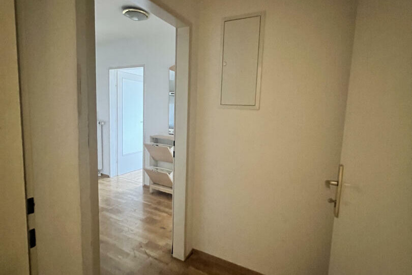 20230703_072832323_iOS