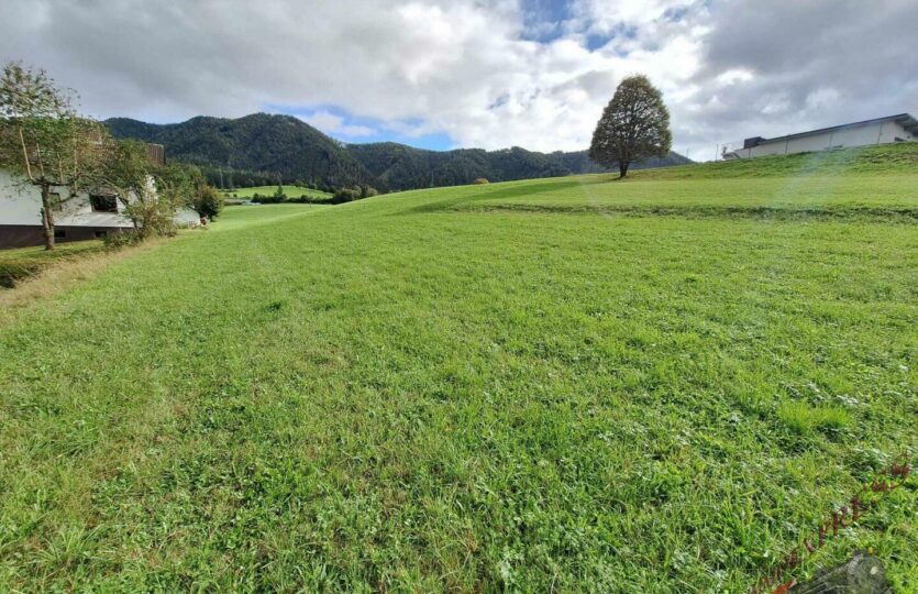 9ca59113-4f8a-4607-9165-533317bf05d4