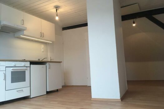 Nähe Südtirolerplatz, Wohnung mit 2 getrennten Zimmer ab März verfügbar IMG_5881