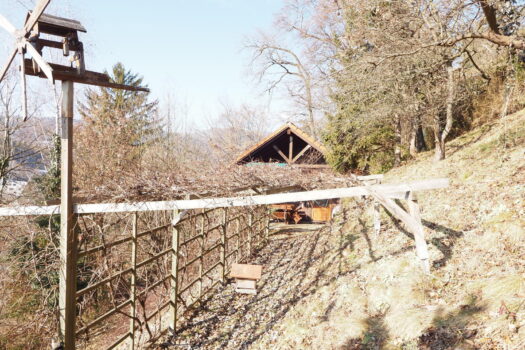 Ansicht mit Weinlaubengang