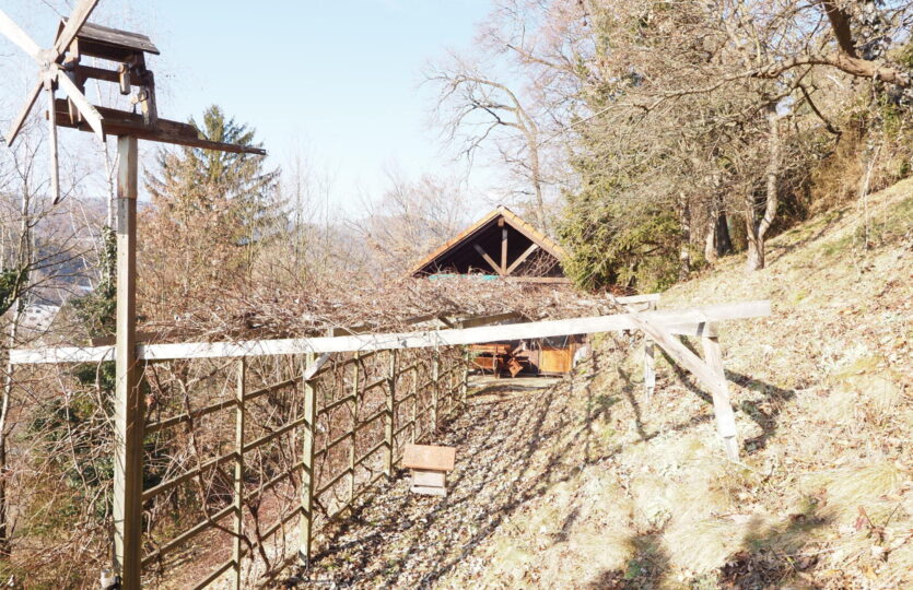 Ansicht mit Weinlaubengang