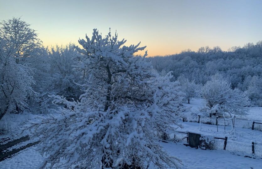 Anwesen 20 ha + Haus -41