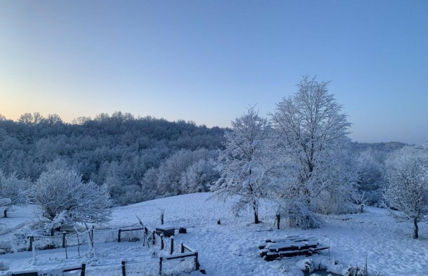 Anwesen 20 ha + Haus -43