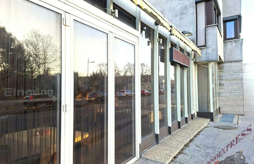 WhatsApp Image 2026-02-10 at 16.48.16 (2)