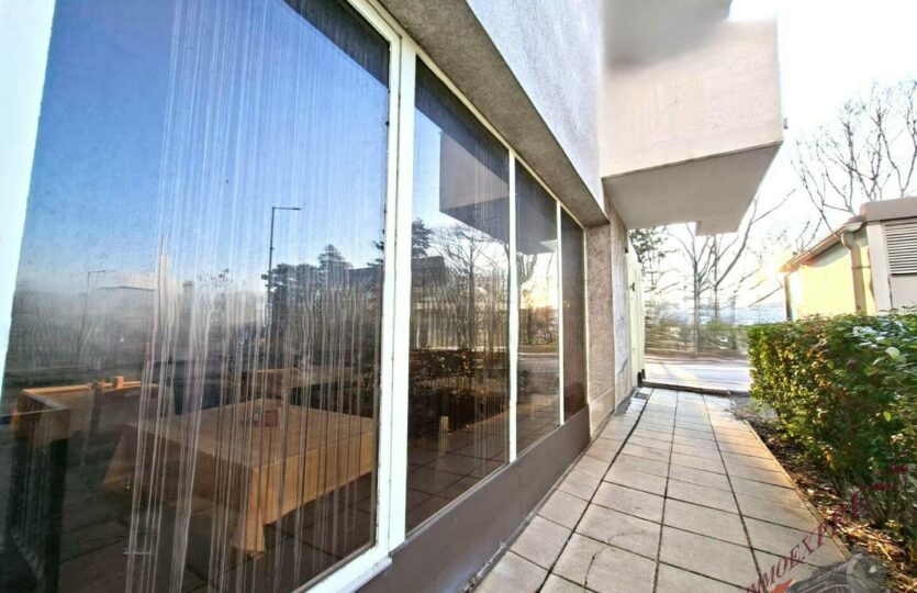 WhatsApp Image 2026-02-10 at 16.48.19 (5)