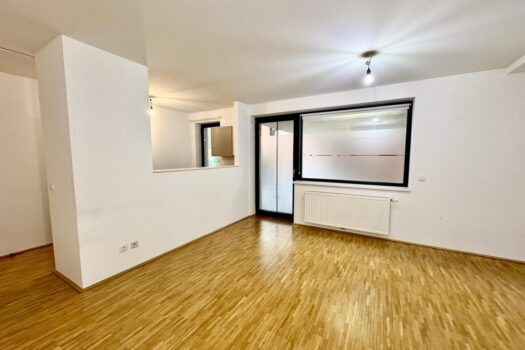 Wohnzimmer mit offener Küche