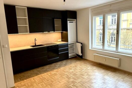 NEU möblierte Küche