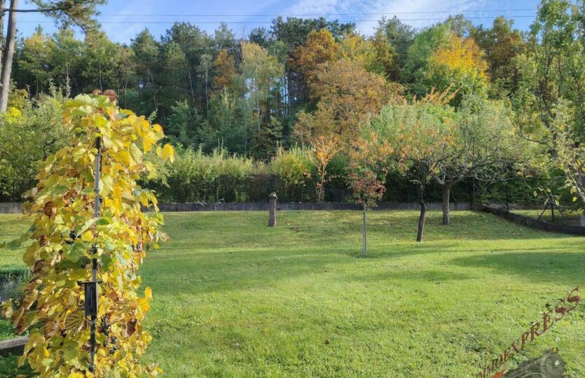 WhatsApp Bild 2025-10-25 um 09.54.35_f5fdeb82