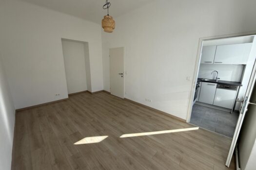 Optimale 1 Zimmer nähe XXX-Lutz - H11 Top 5 20260225_130412415_iOS