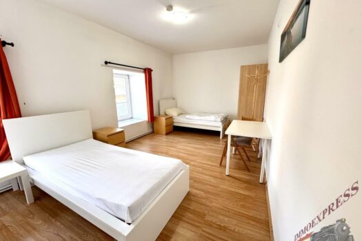 1 Zimmer Apartment mit 2 Betten mit Dusche und WC in Fischamend 460,-- Euro monatliche Pauschale sofort verfügbar IMG_7966-1