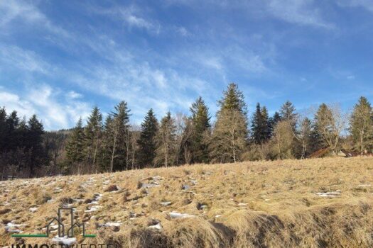 202jvrDgQfHOPQBgBEPogi