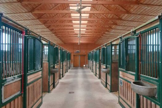 20nwMfbXGd1gQFd61xZlCz