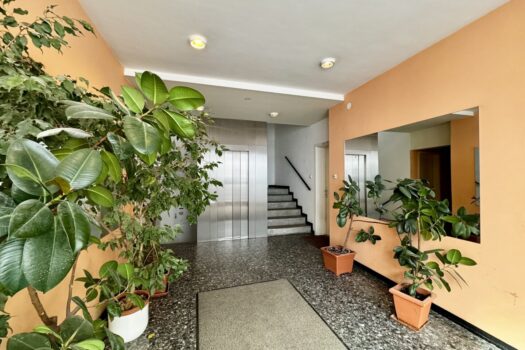 21Gs4UaRabLvUM8YuOO82a