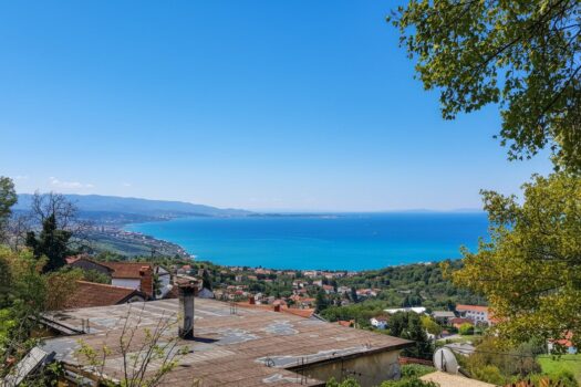 22ML9A0rjTf0G7cZMtcvAk