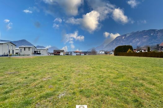 24Tg7hWP1LVBNGYzOk3IZl